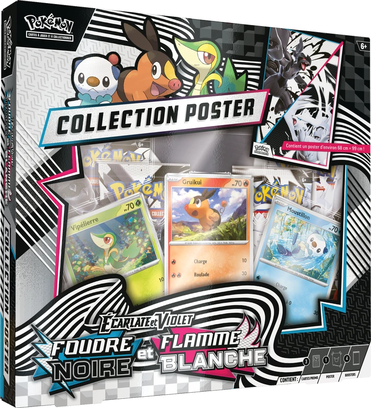 Pokemon Unova Poster Collection Box (French) - Miraj Trading